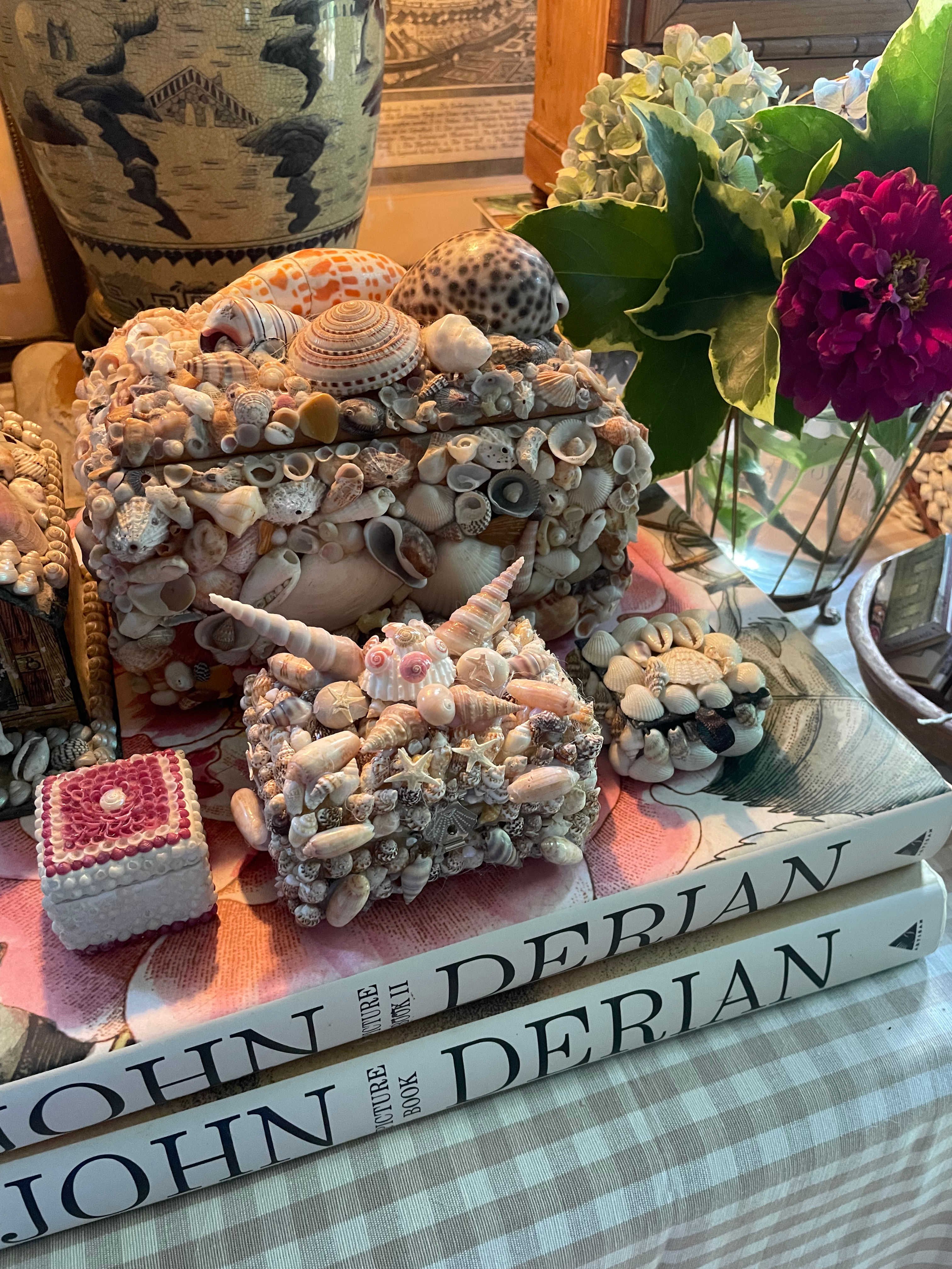 Small Footed Seashell Box 