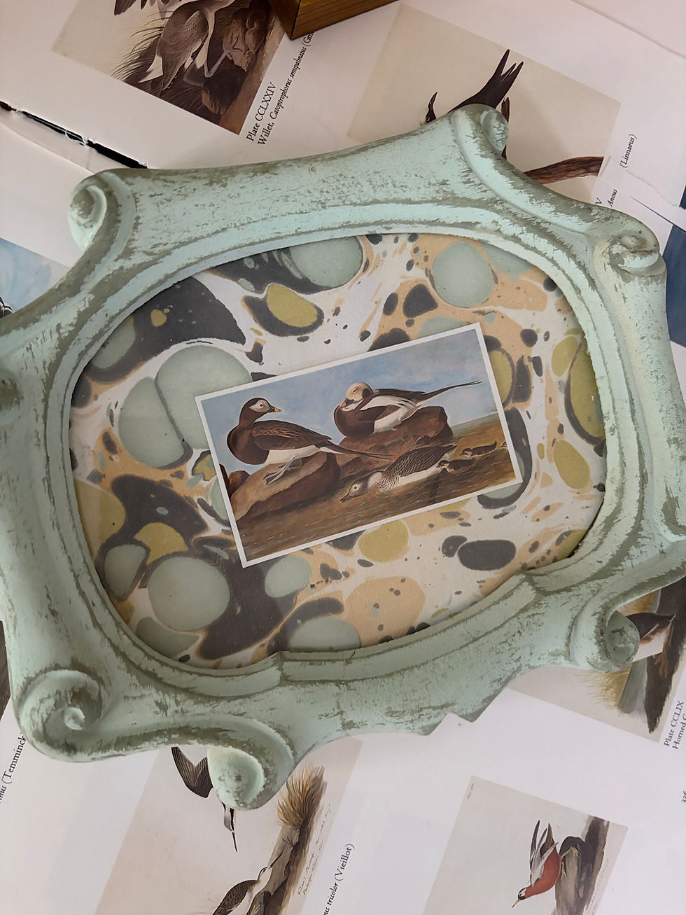 Thumbnail: Audobon in Aqua Florentine Frame 