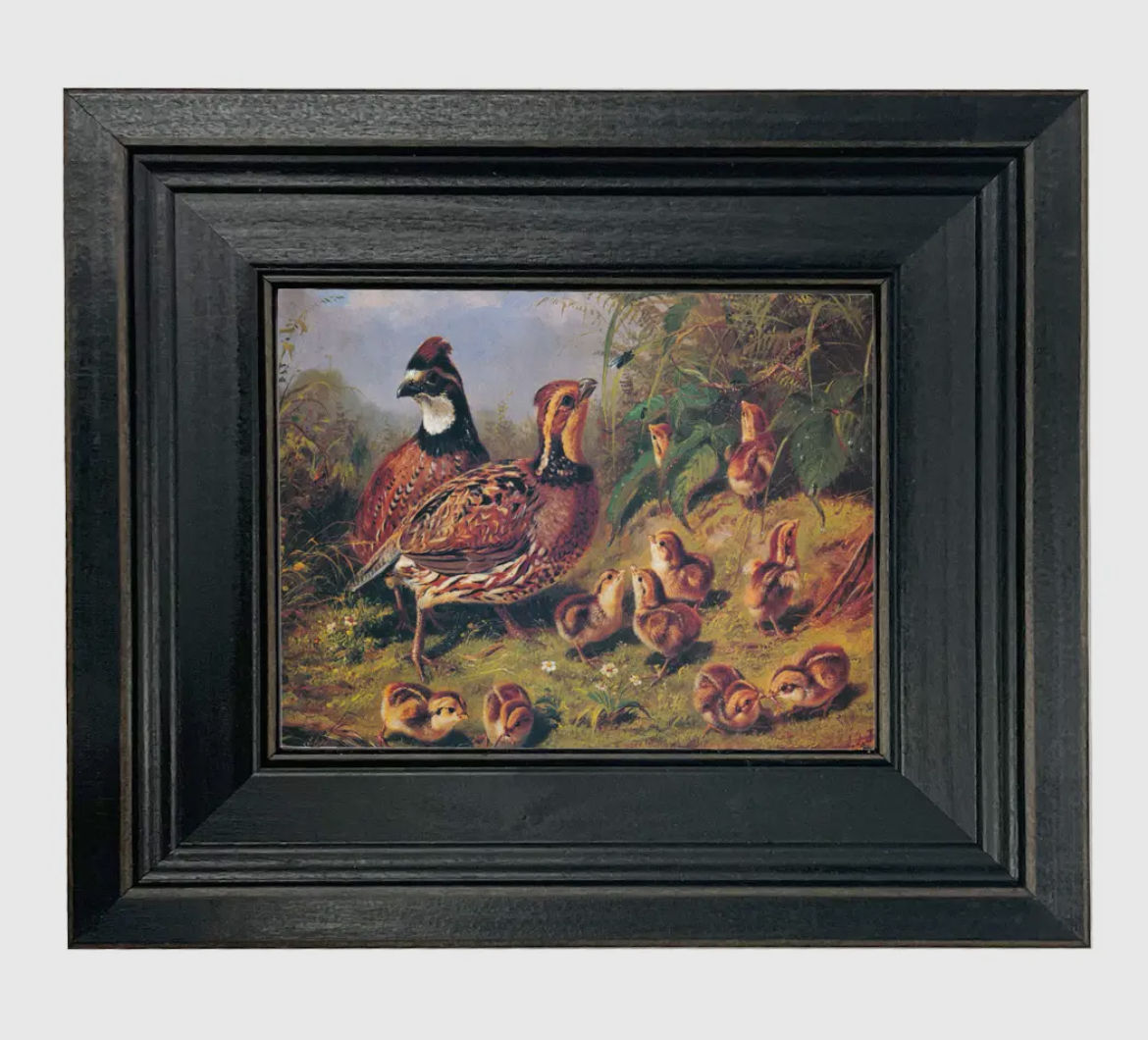 Quails and chicks artwork 