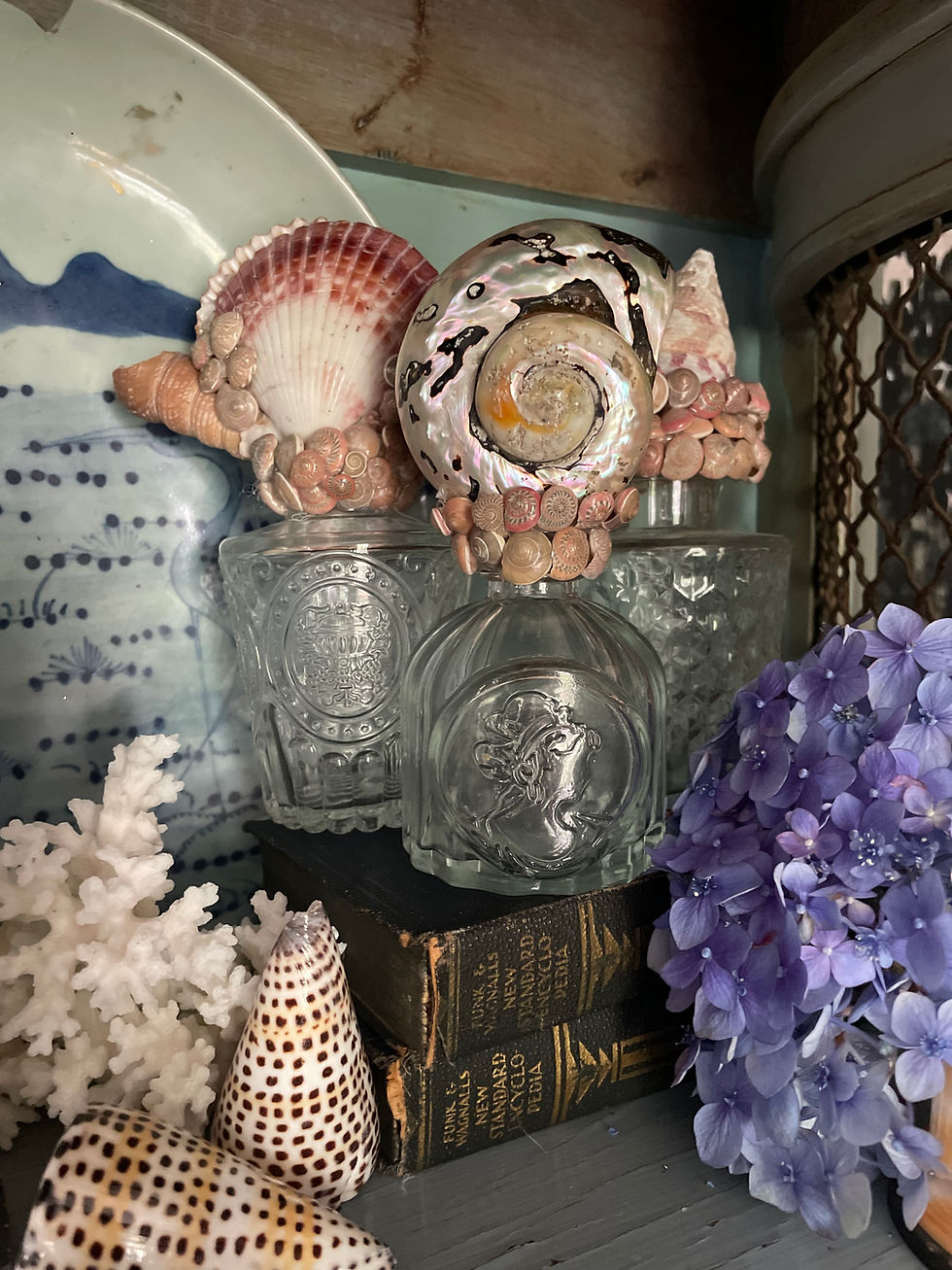 Thumbnail: Shell Encrusted Bottles