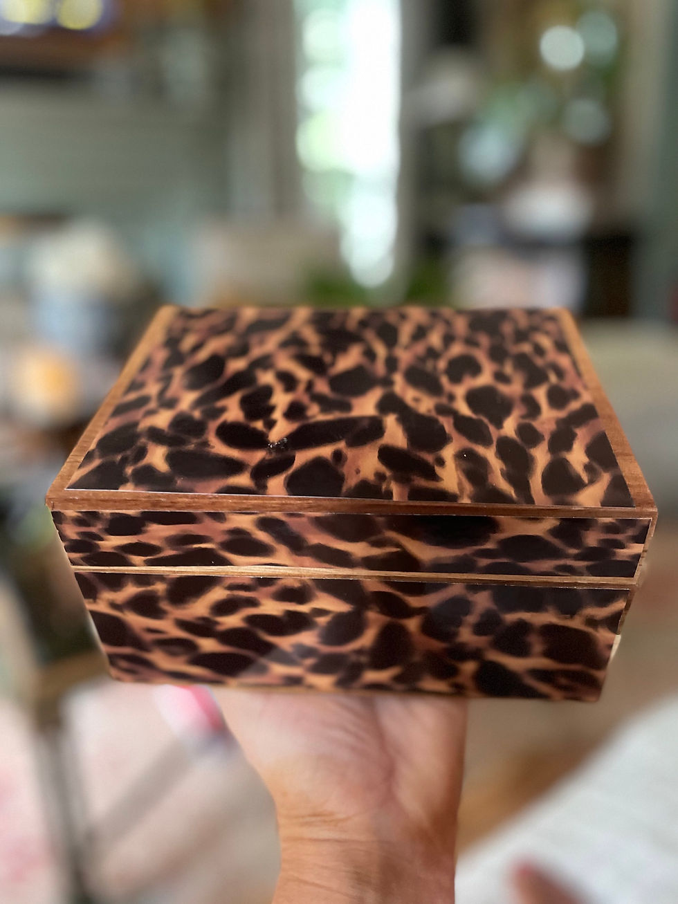 Thumbnail: Mid 2 tortoise box