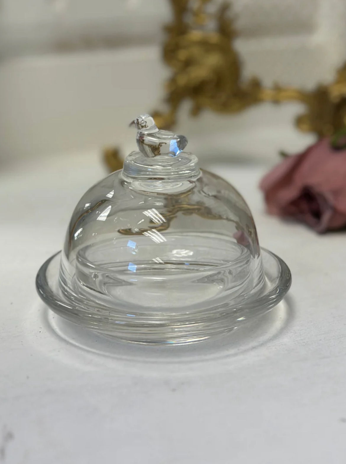 Glass Bird Cloche 