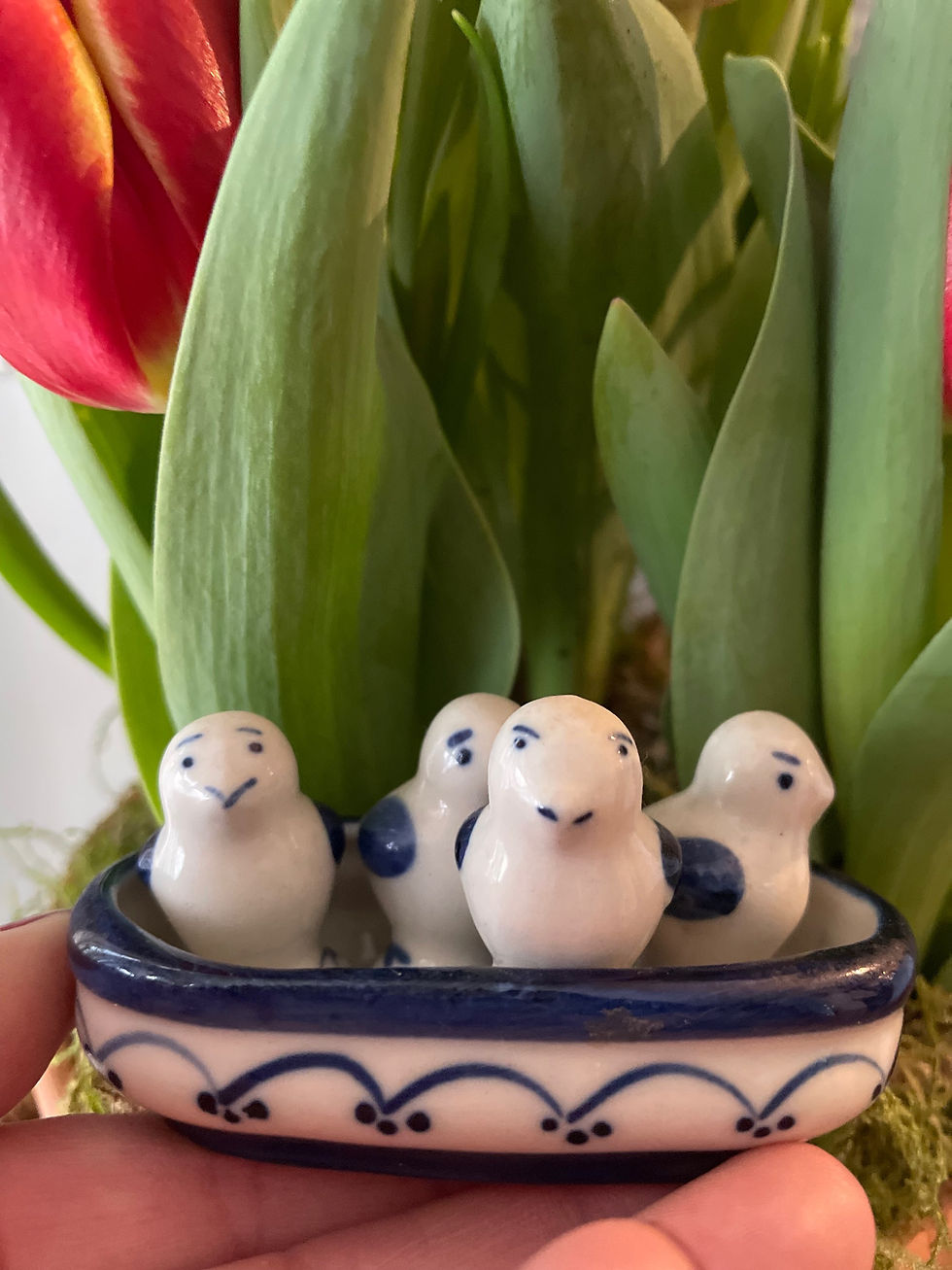 Thumbnail: Chicks in a dish 