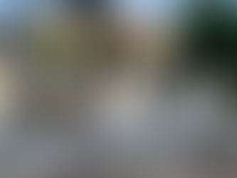 Estero Custom Home Cost Guide