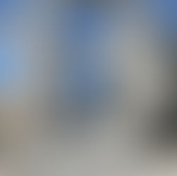 Naples flood zones (AE, VE, and X) determine how high your home must be built