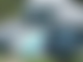 Best Materials for Coastal Homes Fort Myers Beach