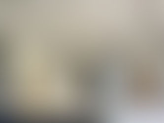 Estero Home Remodeling Guide