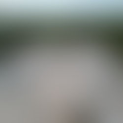 Custom Homes in Everglades City & Port of the Islands, FL: Why DeSanctis Homes Is the Builder of Choice for Elevated Concrete Construction