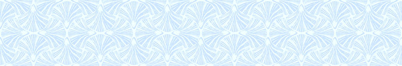 shell line-min (1)_edited.jpg