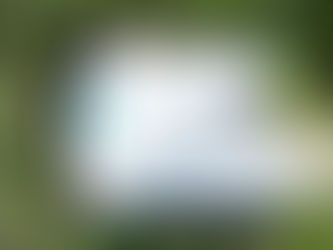 Best Materials for Coastal Homes in Fort Myers, Florida