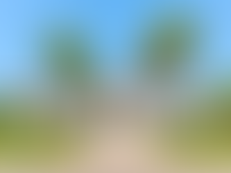 Design-Build vs Traditional Construction in Sanibel