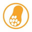 peanut-amber_109463.png