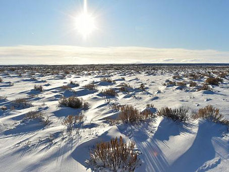 "Sagebrush Sea" Habitat Loss