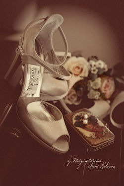 wedding in Pyrgos Petreza