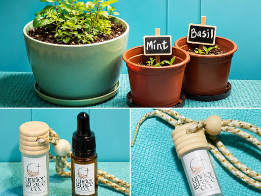 Growing With Intention:Herbs, Healing, and the Learning Process