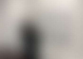 Dogs of New York - Solo exhibition , 2024