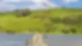 1203696_1.webp