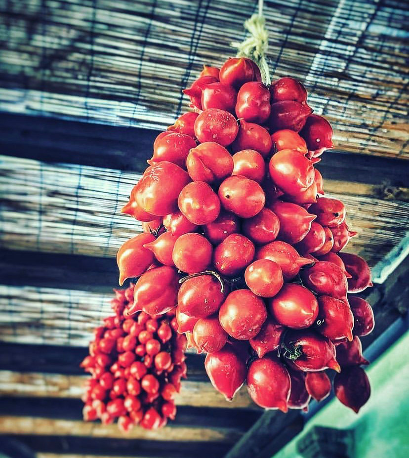 “Pomodorino del Piennolo del Vesuvio” is a local production in the Campania region and it is cultivated on the slopes of Mount Vesuvius.