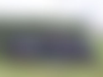 Emozioni in sella: il racconto di una domenica indimenticabile al Circolo Ippico Melzese