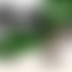 Domenica 1 Febbraio 2026: Una giornata di Sport e Passione al Circolo Ippico Melzese