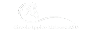Logo CIME