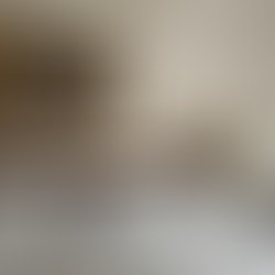 Hoe Zet Ik Mijn Social Media Kanalen In Voor Mijn Bedrijf? Waar Moet Ik Beginnen?