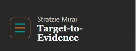 Introducing Target-to-Evidence by Stratzie Mirai: Turning AI Governance from Policy into Practice