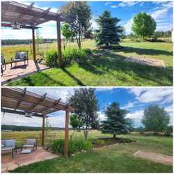 Before and after of a yard with fresh mulch, trimmed trees and bushes, and mowed green grass