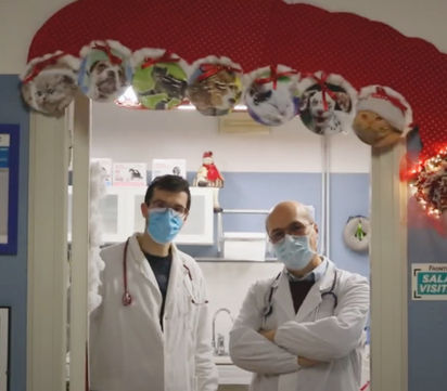 Schermata 2022-10-08 alle 23.31_edited.jpg