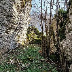 strada scavata nella roccia che racchiude un giardino nascosto nei Colli Bassi di Pescasseroli, escursione adatta a tutti.