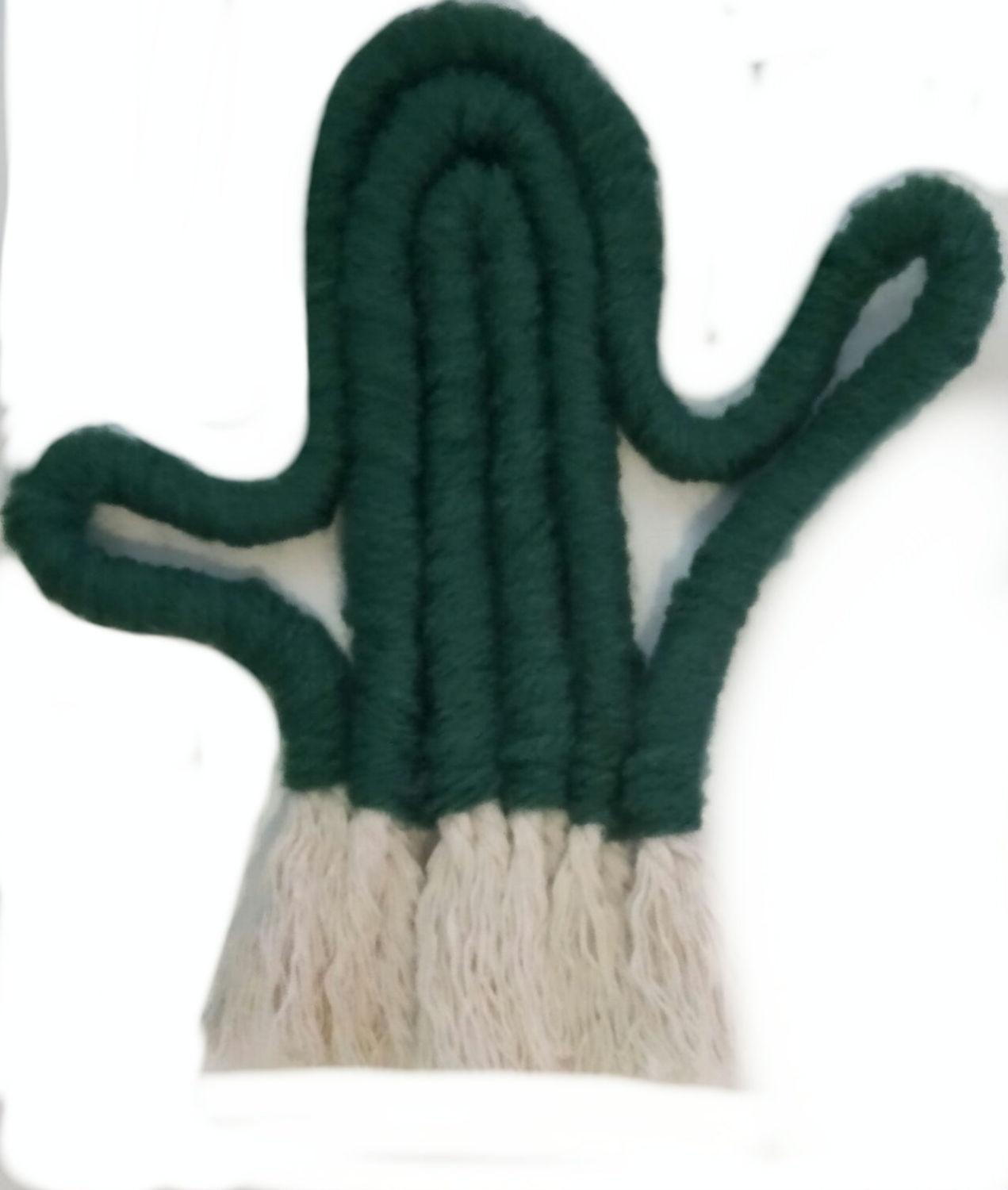 Cactus mini 15cm x 15cm 