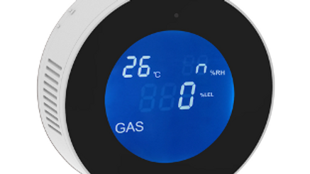 Gas Detector