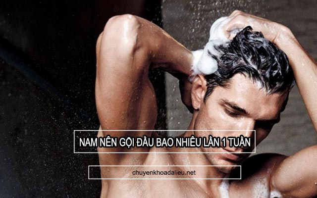 Tần suất gội đầu