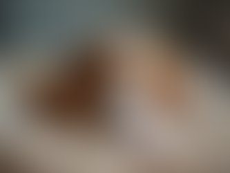 Unlocking the Mystery of Crate Training Your Puppy without Losing Your Mind