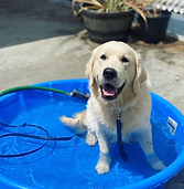 Screen Shot 2025-07-30 at 3.59.04 AM.png