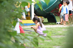 Summer Camp