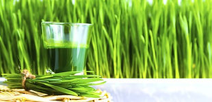 colon cleanse