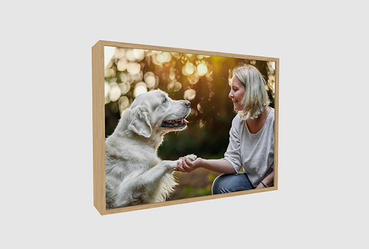 Hunde Bühl