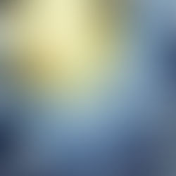 How Financial Services Businesses Can Eliminate Potential Risks?