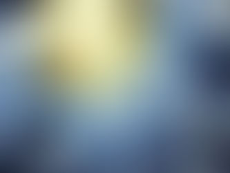 How Financial Services Businesses Can Eliminate Potential Risks?