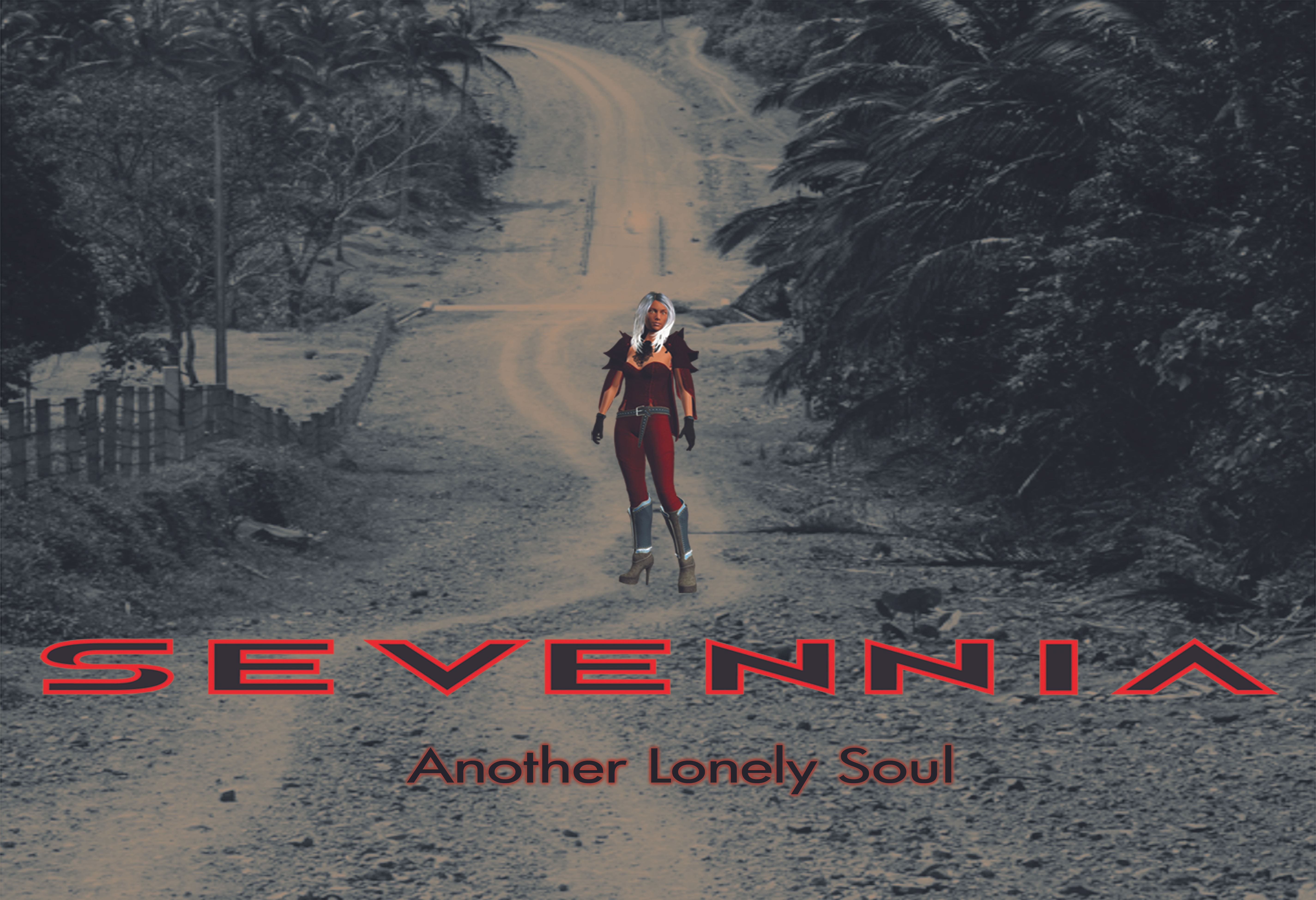 Another Lonely Soul album cover 19x13 poster