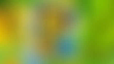 PAPILOMA project got's the 3th place at Arrisca'C Contest