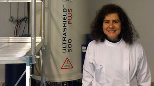 Carla Cruz in the local news: UBI webpage, journals URBI et ORBI, UBINFORMA, RCB