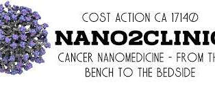 Online Conference “Characterisation of nanomaterials towards safe and efficient nanodrugs”