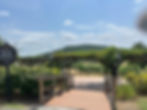 Gorgeous Views