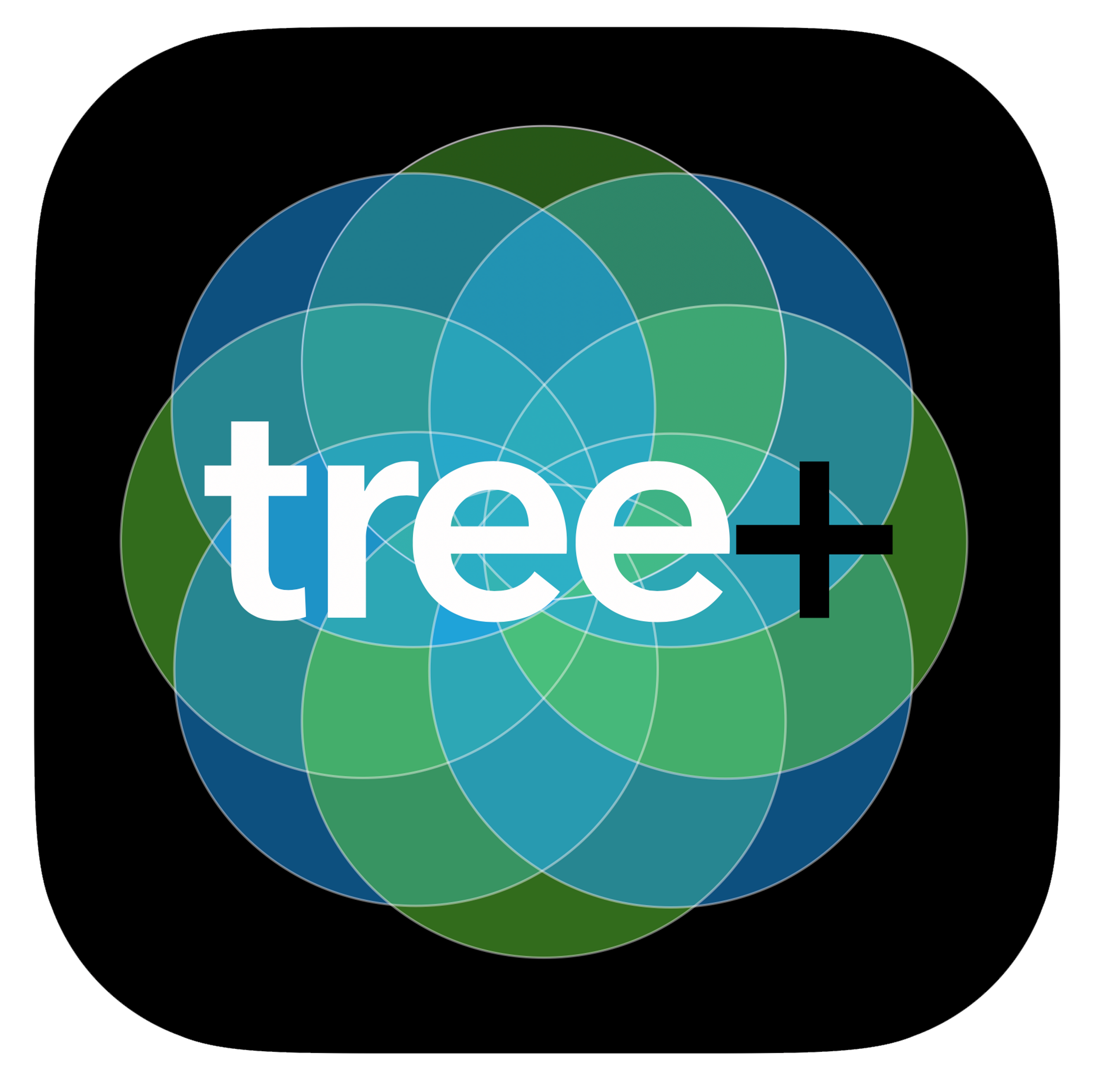 Watch on Tree+ | Tree Media