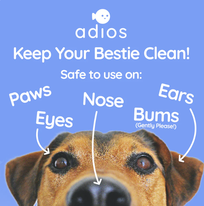 Thumbnail: 🌱 Adios Compostable Pet Wipes 🐶🐾