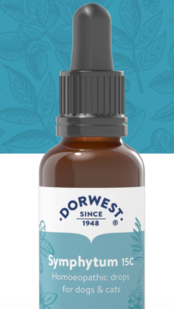 Dorwest Symphytum 15C - 15ml Liquid
