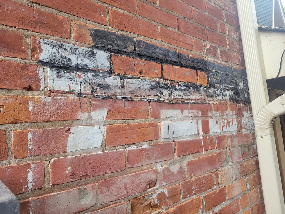 Before DOFF Steam Clean