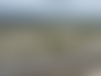 Abandonados por polleros que supuestamente los ayudarían a cruzar la frontera 